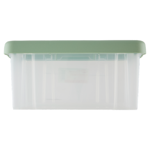 Selex Contenitore con Coperchio a Scatto Verde Cammeo 5 L