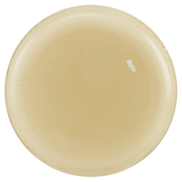 Sù Maionese 1 L