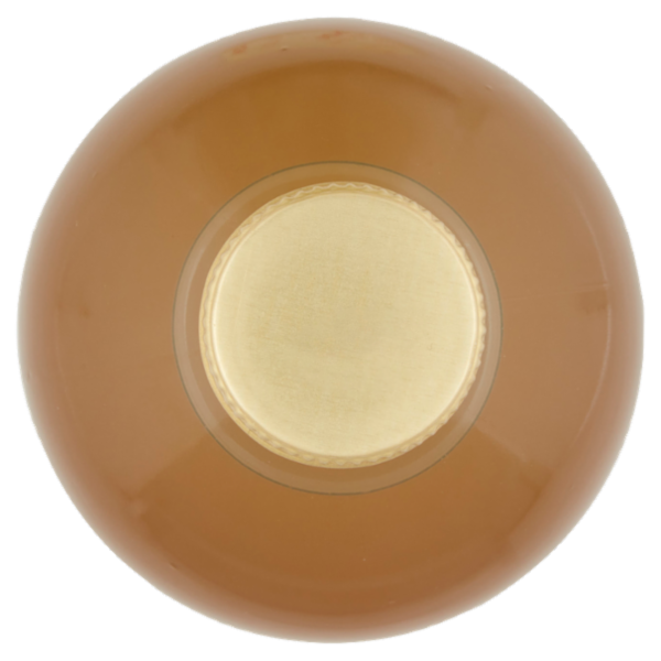 Consilia Aceto di Mele Non Filtrato Biologico 520 ml