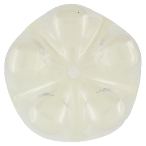 Schweppes Limone Zero PET 1 L