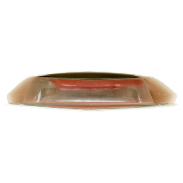 Fumara Salmone Norvegese Affumicato Taglio Sashimi 100 g