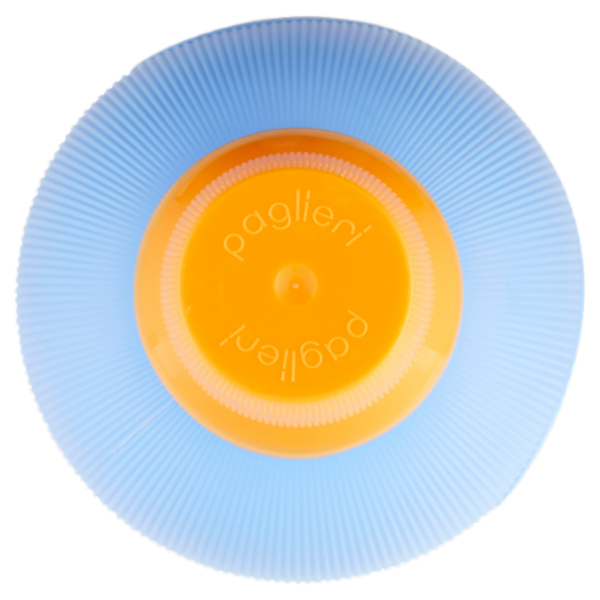 Felce Azzurra ambra & vaniglia Ammorbidente 2 L