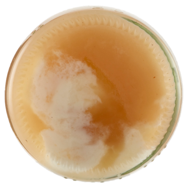 Sterzing Vipiteno bio Yogurt Magro su pera&zenzero da Latte Fieno 150 g