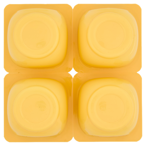 DANETTE budino gusto vaniglia, fresco dessert, Senza Conservanti, Senza Glutine, 4x125g