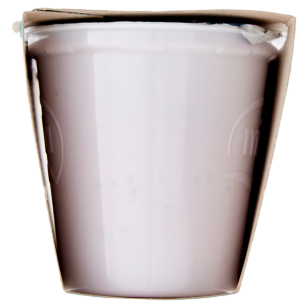 mila Yogurt Intero Mirtillo 2 x 125 g