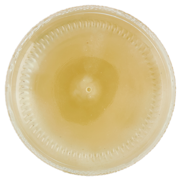 Selex Natura Chiama Bevanda Lime e Zenzero Biologica 500 ml