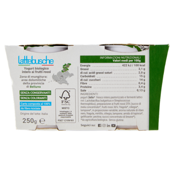 lattebusche Yogurt Bio Frutti Rossi 2 x 125 g
