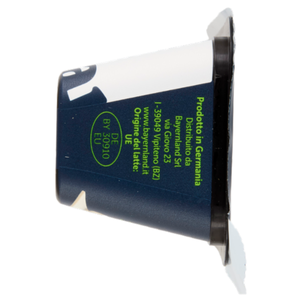 Bayernland mozzarella in sfoglia 130 g