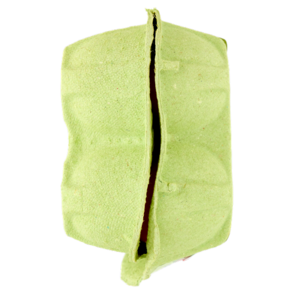 Aia 10 Uova Fresche da allevamento a Terra 530 g