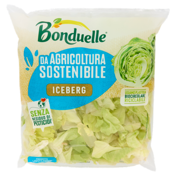 Bonduelle Iceberg 200 g