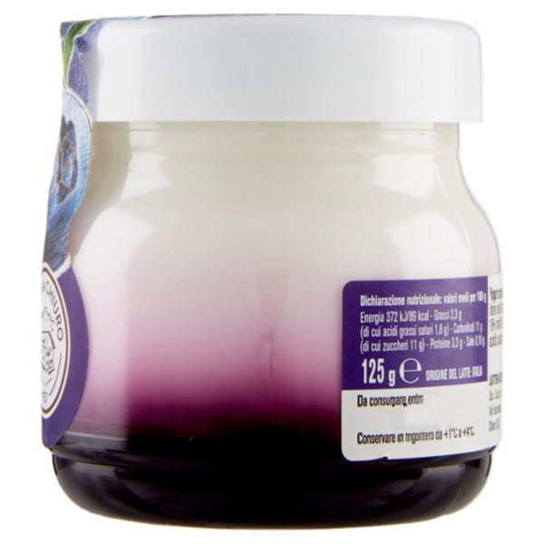 AlpiYò Yogurt di Valtellina Intero con confettura extra di Mirtillo 125 g