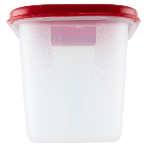 Selex Contenitore per Alimenti Freezer/Frigo Rettangolare 0,70 L