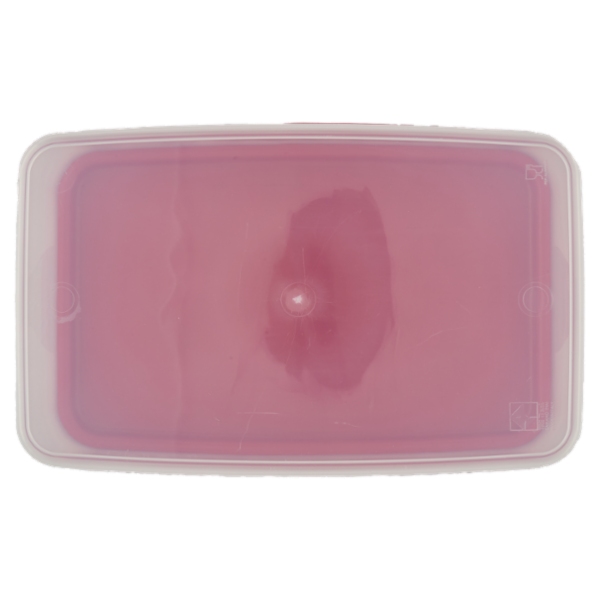 Selex Contenitore per Alimenti Freezer/Frigo Rettangolare 4,50 L