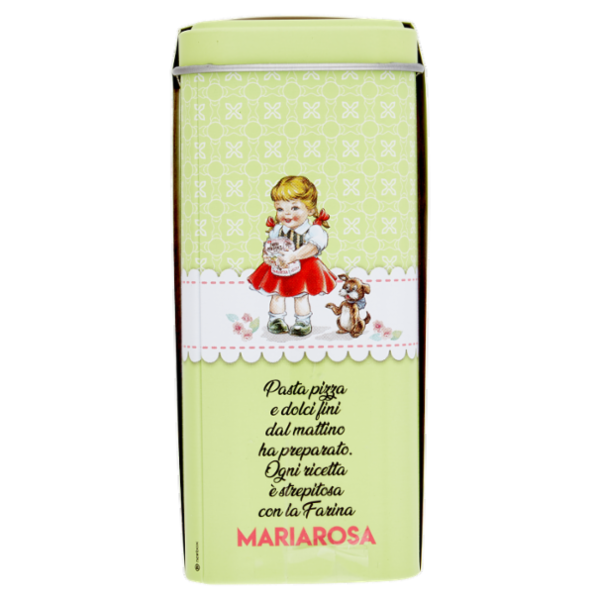 Mariarosa Lievito istantaneo 10 x 16 g