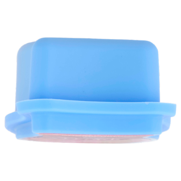 Felce Azzurra fiori di ciliegio e peonia Gel assorbiodori 140 g