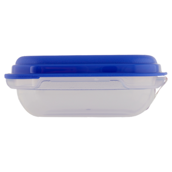 Consilia Saper Scegliere Contenitore Quadrato con Valvola Fresh Wave 0,50 l