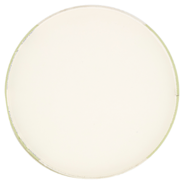 Sammontana Barattolino Delizioso Vaniglia e Pistacchio 500 g