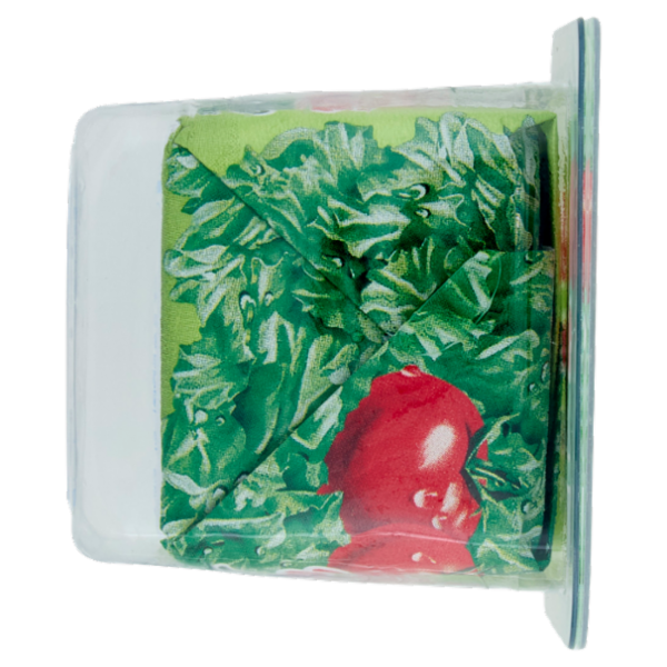 Nonno Nanni Robiola senza lattosio 100 g