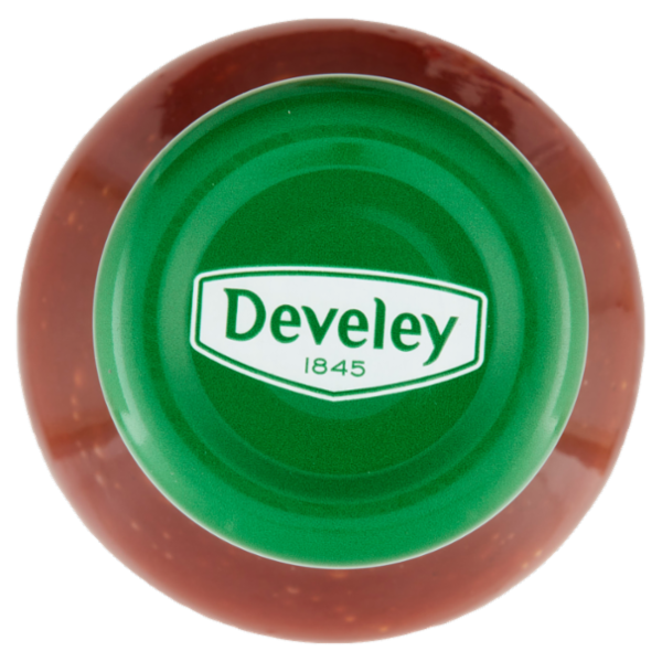 Develey Salsa Barbecue 250 ml