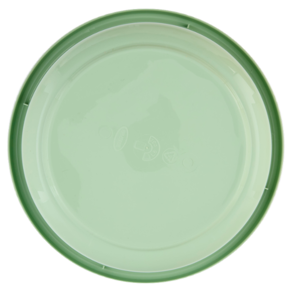 Selex Bacinella Rotonda Verde Cammeo 6 L