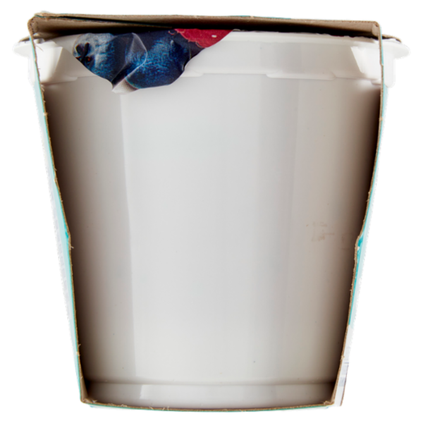 IL GIGANTE Yogurt Magro Frutti di Bosco 2 x 125 g