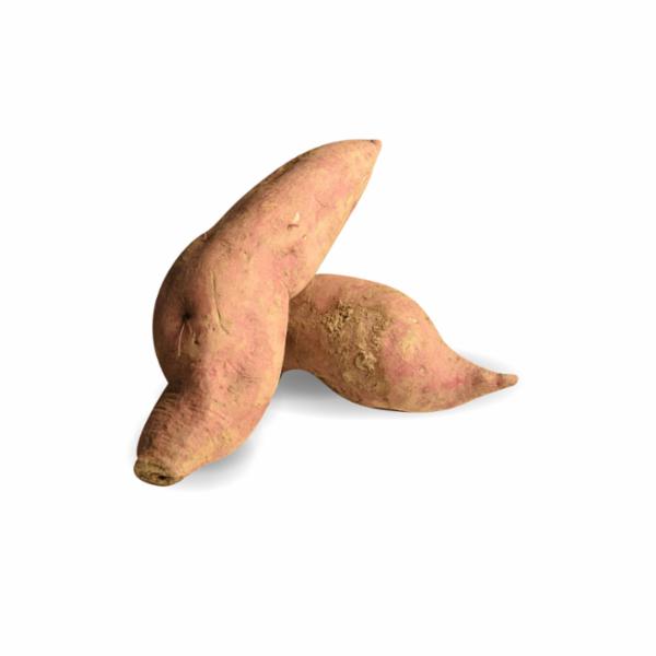 BATATE DI CARAGLIO DOLCI ROSSE PIEMONTE