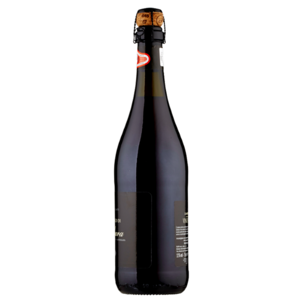 Corte Argenti Lambrusco di Sorbara DOC Secco 75 cl