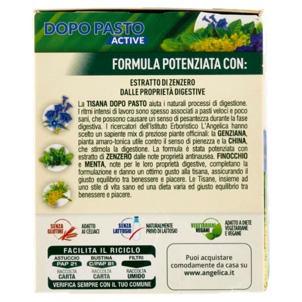 L'Angelica Le Tisane Dopo Pasto Active 18 Filtri 36 g