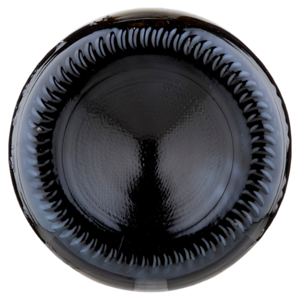 Righi Lambrusco Grasparossa di Castelvetro DOC Vino Frizzante Secco 750 ml