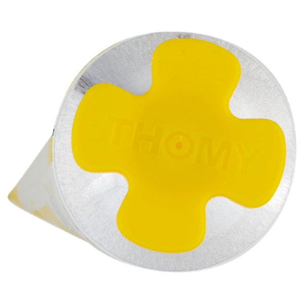 THOMY Maionese salsa maionese tubo 170 g