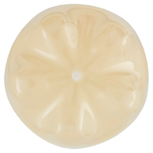 Consilia Saper Scegliere Limonata 1,5 l