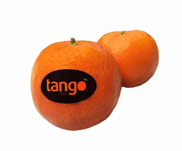 MANDARINI TANGO