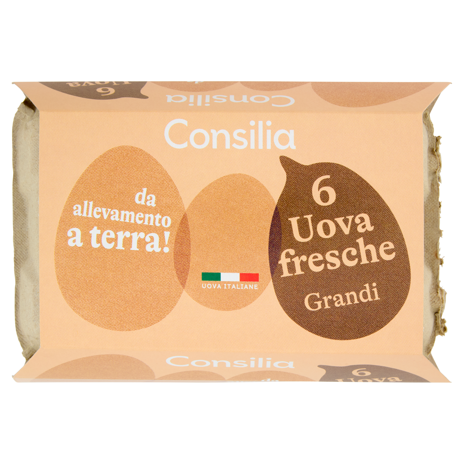 Consilia 6 Uova Fresche Grandi da Allevamento a Terra - Consilia
