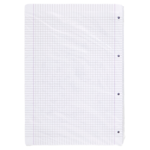 Selex Ricambio Bianco Quaxima Formato A4 80 Fogli Rinforzati 80 g Quadretti 5 mm con Margine