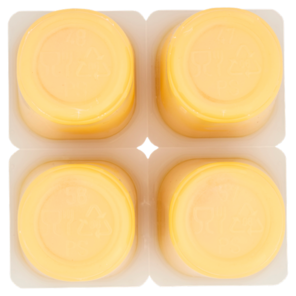 Viva Crema alla Vaniglia 4 x 125 g