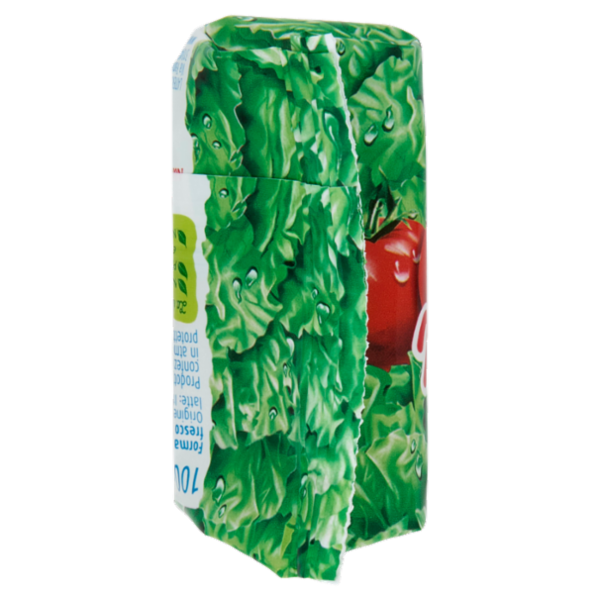 Nonno Nanni stracchino 100 g