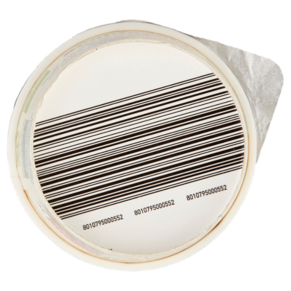 Scaldasole Biologico Avena & Noci con Yogurt Magro 250 g