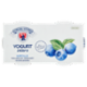 Sterzing Vipiteno Yogurt intero Mirtillo 2 x 125 g