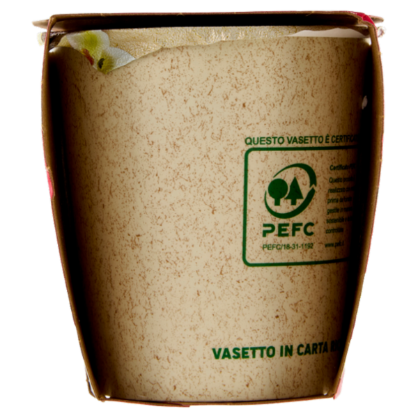 Yomo la Vaniglia 2 x 125 g