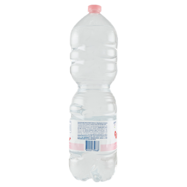 Fonte Guizza Acqua Minerale Naturale 2 L