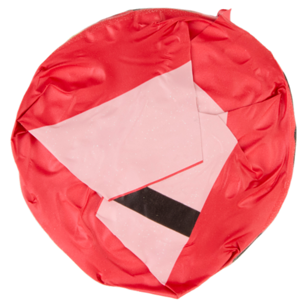 Gran Cereale Frutta Biscotti con Mirtilli Mele e Nocciole Tubo 250g