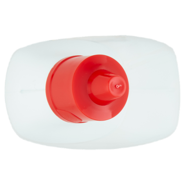 Scala WC Gel Igienizzante Disincrostante Azione anticalcare 1L