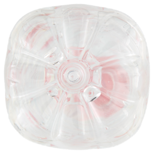 Alpe Guizza Fonte Caudana Naturale 1,5 L