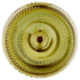 Terredavino Cortese dell'Alto Monferrato DOC Vino Frizzante 75 cl