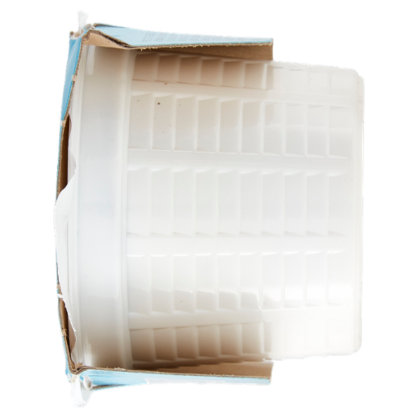 Selex Vivi Bene Ricotta Senza Lattosio 2x100 g