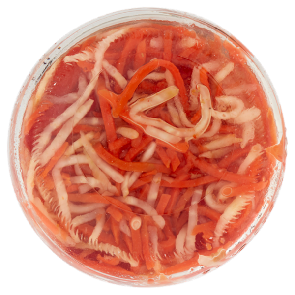 Sù Insalatina di Verdure Aromatizzata con Aceto di Vino 1,6 kg