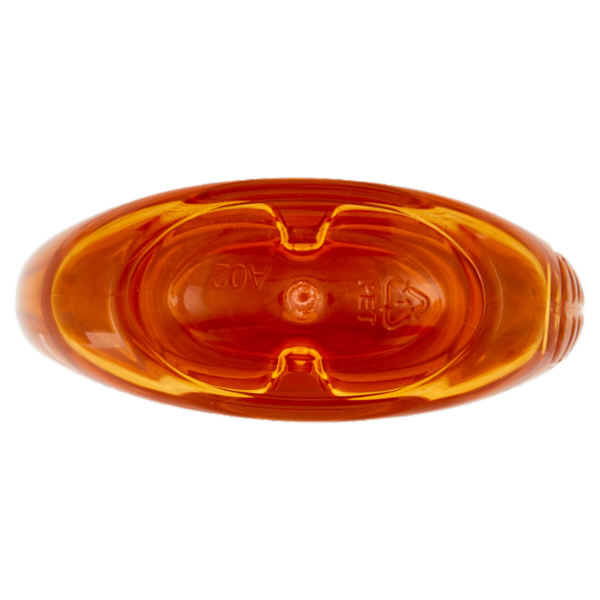 Garnier Ultra Dolce Shampoo Meraviglioso all'olio d'argan e di camelia per capelli secchi, 300 ml