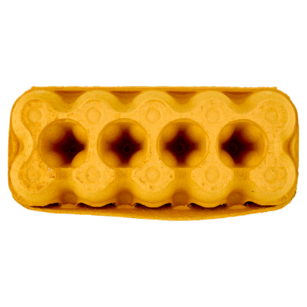 Aia Pastagialla 10 Uova Fresche Medie da allevamento a Terra