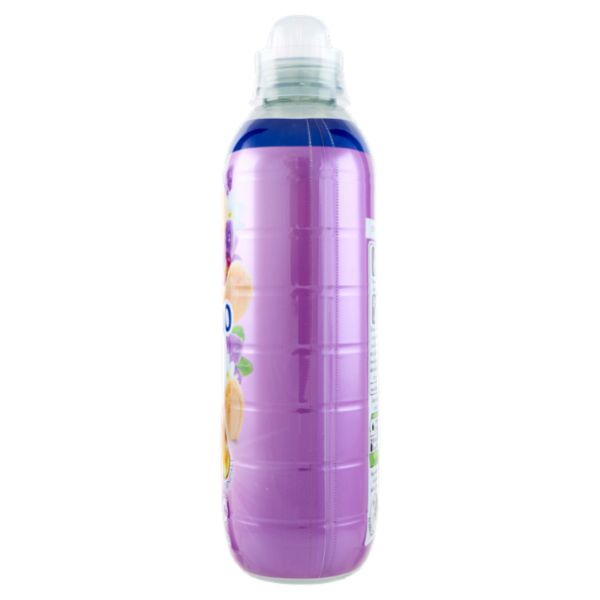 Coccolino Ammorbidente Concentrato Perfume Orchidea Viola & Mirtilli 87 Lavaggi 1827 ml