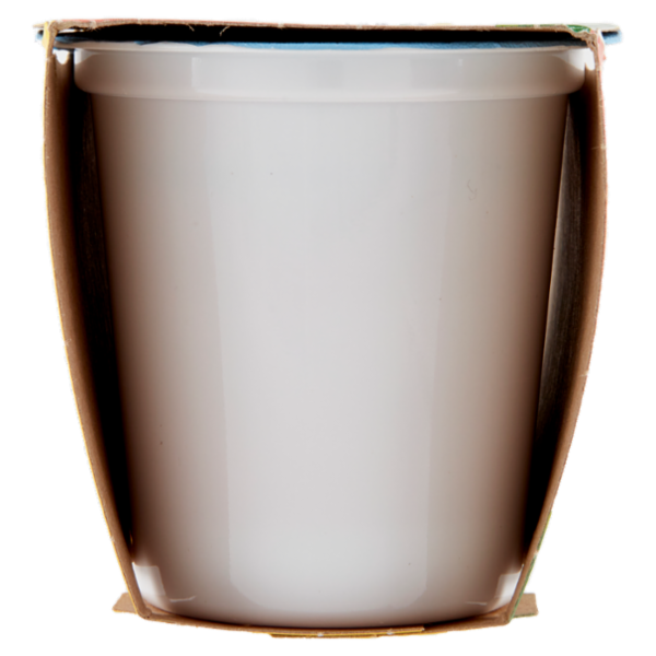 Centrale del latte Vicenza Yogurt Magro Frutta Frullata Fragola 2 x 125 g